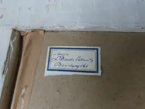 Leonie Bander - Kleurrijke olieverf 'Tropische vogel' kopen? Bied vanaf 250!