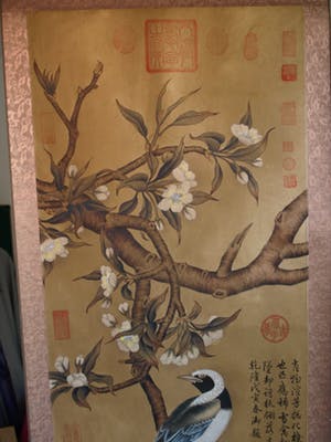 Niet of onleesbaar gesigneerd - Japanse of Chinese scroll, “Vogel op tak” - Aquarelverf en inkt op papier kopen? Bied vanaf 1!