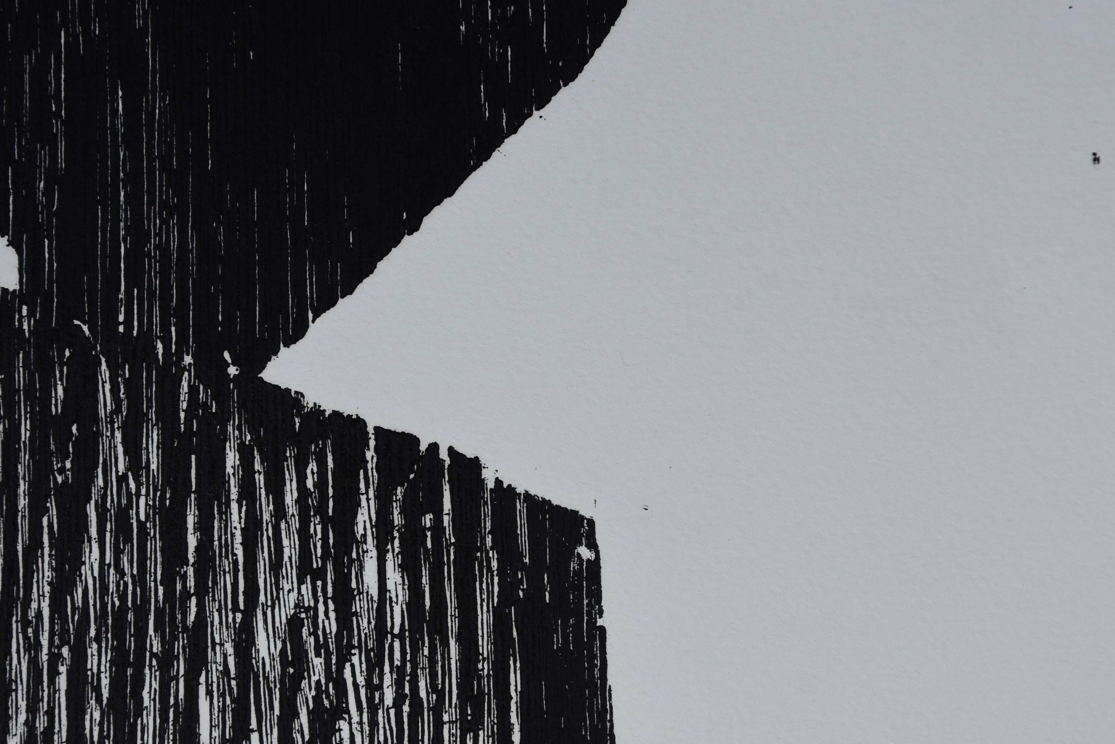 Guillaume Le Roy - # COMPOSITIE # extreem groot formaat houtsnede, 1984, mint kopen? Bied vanaf 85!