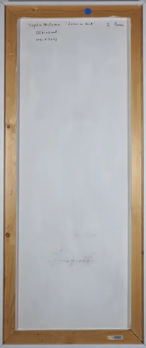 Sophie Mellema - Acryl op paneel, Leven en dood I (tweeluik) - Ingelijst (Groot) kopen? Bied vanaf 20!