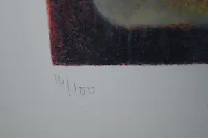 Astrid Engels - Song of Eva - prachtig ingelijst - incl. gesigneerd boek kopen? Bied vanaf 100!