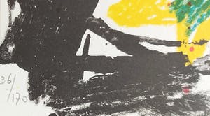 Kees Salentijn - Geen titel kopen? Bied vanaf 15!