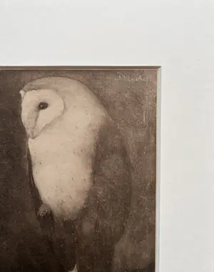 Jan Mankes - Originele Heliogravure Uil op Boomtak 1923 kopen? Bied vanaf 165!