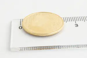 74 - Gouden (900/1000) Rembrandt 10€ herdenkingsmunt - Kon. Ned. Munt 2006 kopen? Bied vanaf 120!