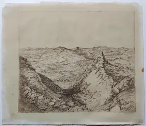 Jan Coenraad Nachenius - Landschap in Ierland kopen? Bied vanaf 50!