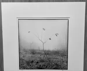 Ralph Janowski - Zonder titel kopen? Bied vanaf 30!