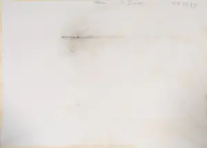 Leo Jinssen - Pentekening, Leeuw kopen? Bied vanaf 1!