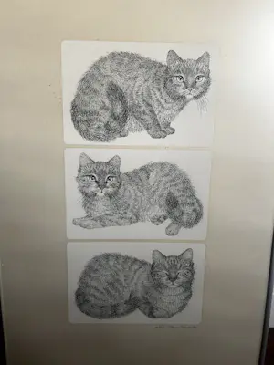 Ella van Schaik - Drie katten tekenen kopen? Bied vanaf 25!
