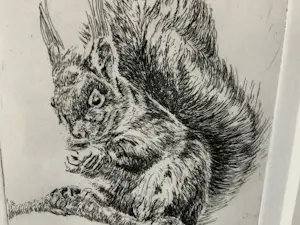 Mary Plantenga - “Knabbel” kopen? Bied vanaf 20!