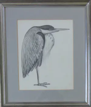 Jan Bezemer - BLAUWE REIGER / ZW-W LITHO / 50x43cm / KADER / SIG kopen? Bied vanaf 45!
