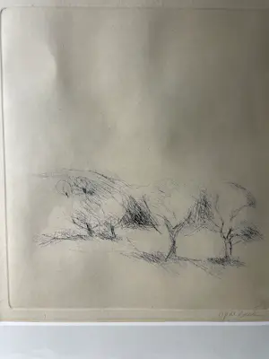 Harry op de Laak - bomen kopen? Bied vanaf 45!