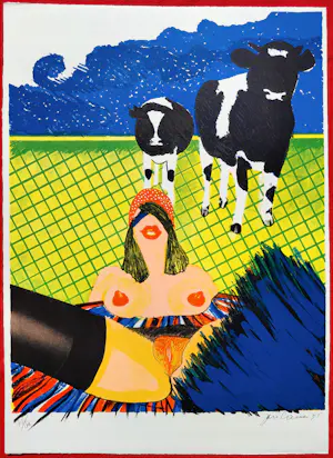 Jan Cremer - Hollandse boerinnen, complete uitgave met 6 litho’s kopen? Bied vanaf 1350!