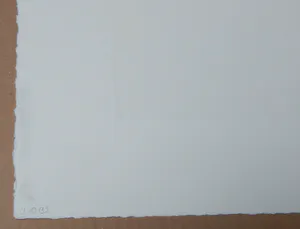 Johannes Hüppi - Vor dem Bildschirm II - Aquatinta Farbradierung 2003, signiert kopen? Bied vanaf 100!