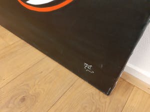 Maartje Wijngaarden - Gezicht, donkere tonen kopen? Bied vanaf 50!