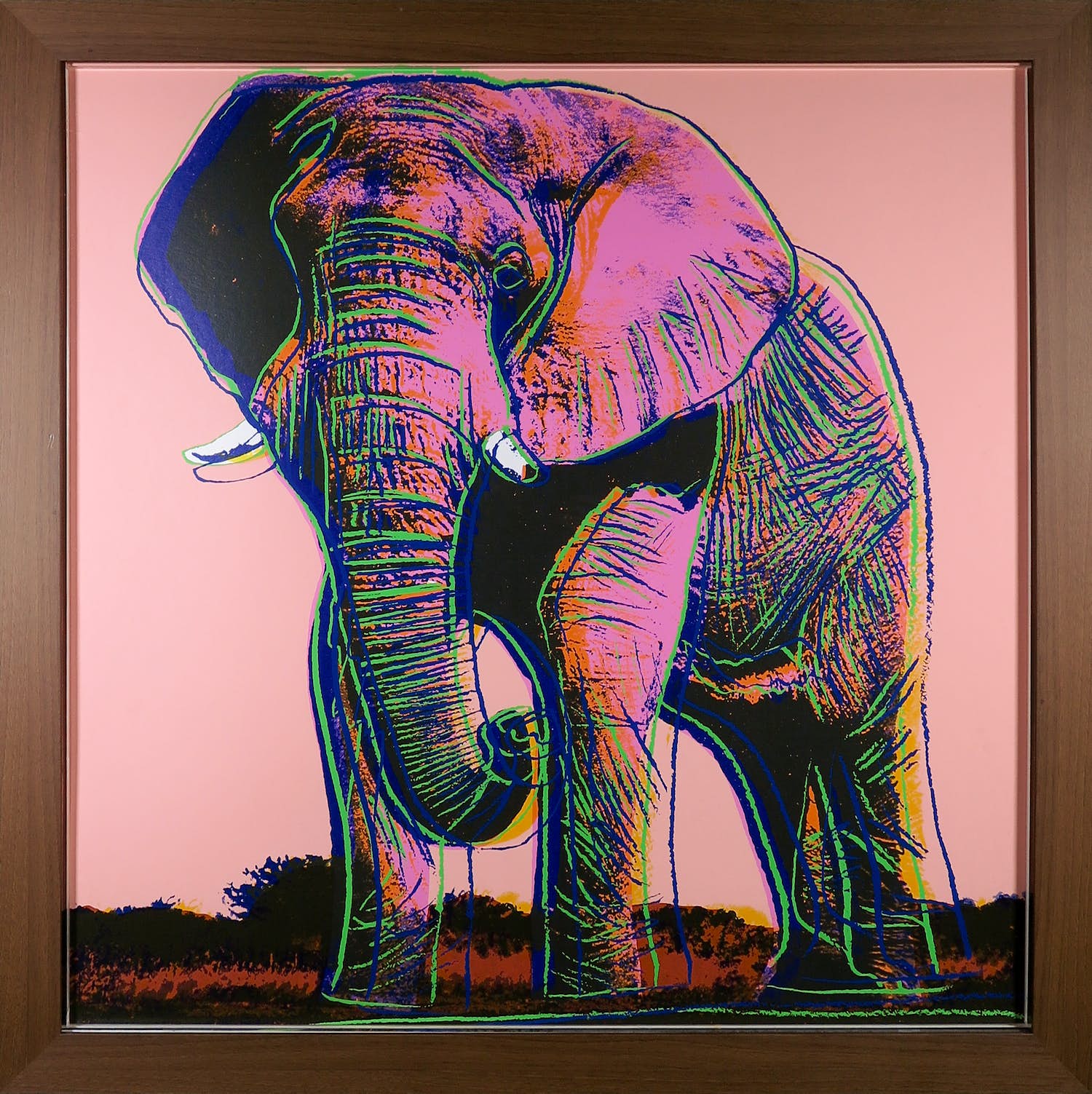 Andy Warhol - African Elephant uit de serie Endangered Species - Ingelijst (Groot) verkocht voor € 1!