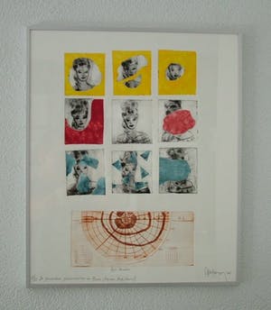 Arend van Dam - Kleuren ets op papier, De glaucomateuze gezichtsvelduitval van Barbie" 5/15 kopen? Bied vanaf 15!