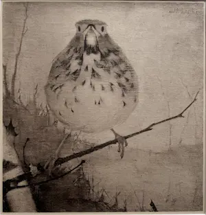 Jan Mankes - Originele Heliogravure Lijster op Tak 1923 kopen? Bied vanaf 185!