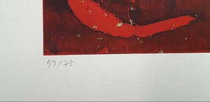 Niet of onleesbaar gesigneerd - Onleesbaar gesigneerd, oplage 75, nieuwstaat grafiek kopen? Bied vanaf 1!