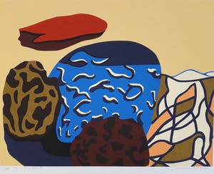 Doris Groeneveld - New Zealand kopen? Bied vanaf 20!