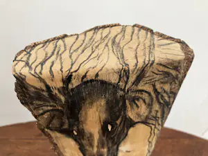 Emile van der Kruk - Greyhound kopen? Bied vanaf 1!