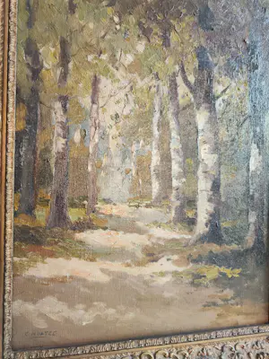 Cor Noltee - Het Zonnige Berkenpad kopen? Bied vanaf 90!