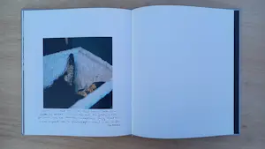 Anton Corbijn - Herman Brood kopen? Bied vanaf 125!