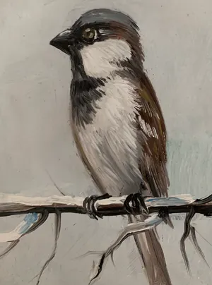 Henk Poeder - Huismus kopen? Bied vanaf 50!