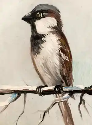 Henk Poeder - Huismus verkocht voor € 50!