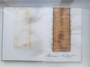 Bernard Aubertin - Livre brule Rosenburg - Verbrande lucifers in catalogus kopen? Bied vanaf 275!