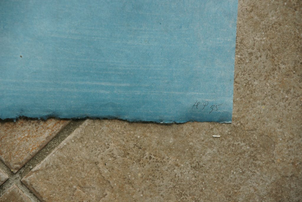 Helma Pantus - Laatste x! Helma Pantus - litho op rijstpapier kopen? Bied vanaf 60!