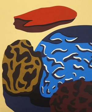 Doris Groeneveld - New Zealand kopen? Bied vanaf 20!