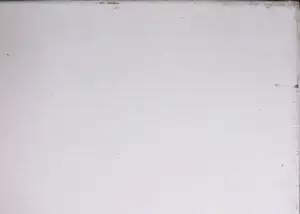 Mark Polee - Acryl op doek, Een soort dier (Groot) kopen? Bied vanaf 1!