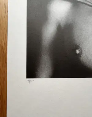 Marcel Marien - Gesigneerd - surrealistisch - 50/250 kopen? Bied vanaf 65!