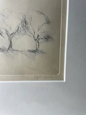 Harry op de Laak - bomen kopen? Bied vanaf 45!