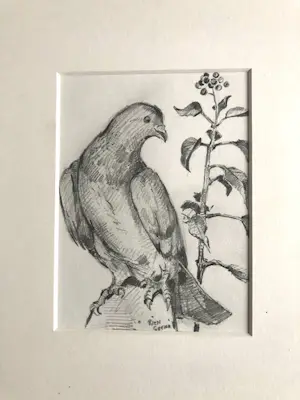 Rien Goené - Duif kopen? Bied vanaf 80!