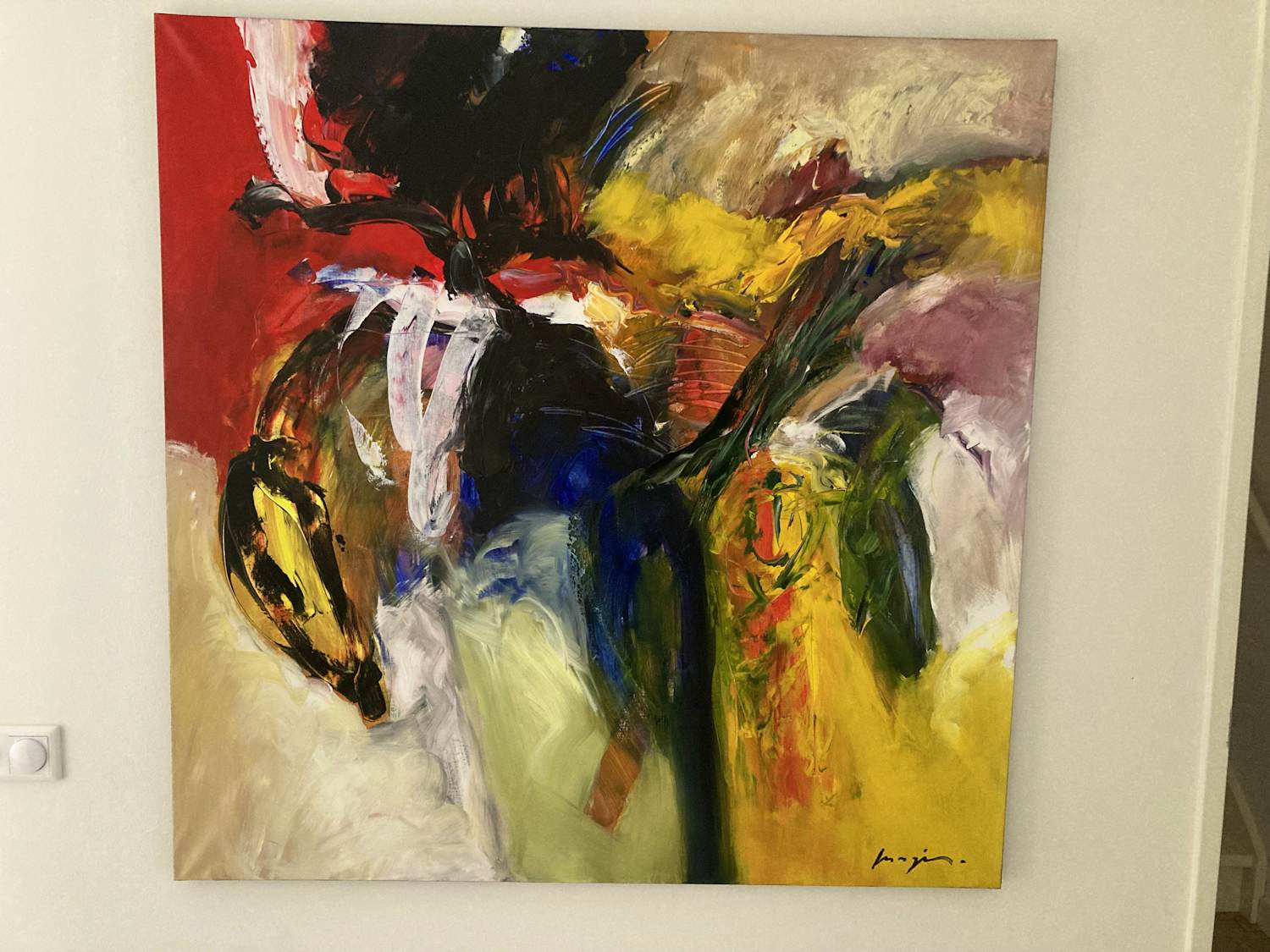 Pascal Magis - Perroquet kopen? Bied vanaf 750!