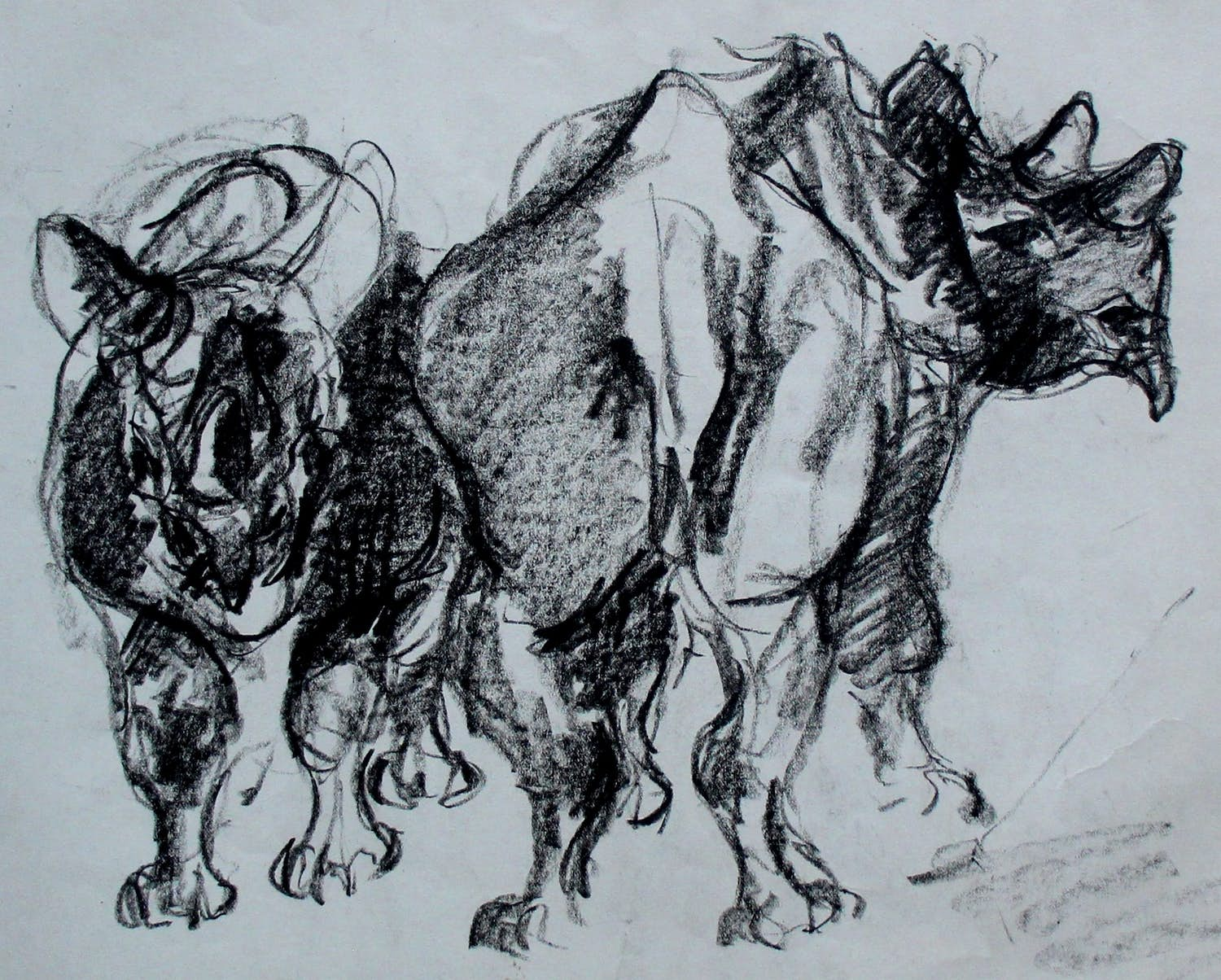 Buy Frits van Eeden - Potlood tekening: Dieren? Bid from 55!