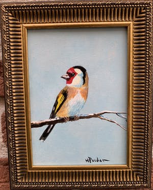 Henk Poeder - Puttertje kopen? Bied vanaf 65!