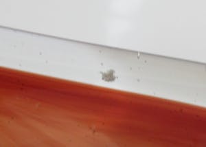 Per Lutken - Kastrup-Holmegaard - Twee vrijgevormde schalen - Glas kopen? Bied vanaf 48!