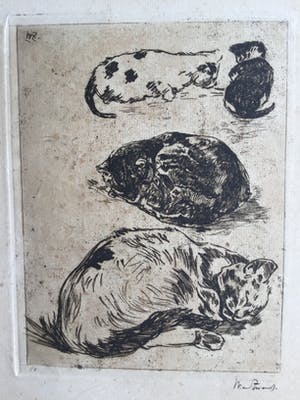 Willem de Zwart - Ets met 4 poezen kopen? Bied vanaf 75!