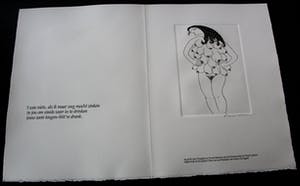 Frank Lodeizen - Ets: Vreugden en Verschikkingen... kopen? Bied vanaf 50!