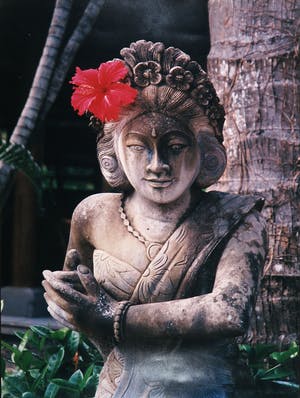 Marianne Dommisse - Foto, Bali, Indonesië Godin kopen? Bied vanaf 1!