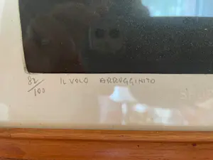 Giancarlo Pozzi - ‘Il volo arruginito kopen? Bied vanaf 80!