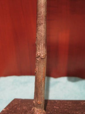 Brons (Onbekend) - Bronzen poort van Amiens. kopen? Bied vanaf 60!