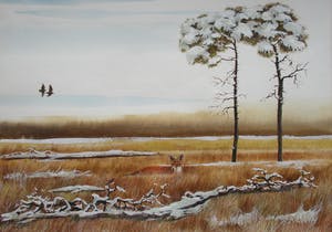 Ari Stolk - Vos en 2 vliegende fazanten in winterheide kopen? Bied vanaf 105!