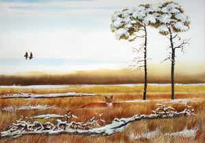 Ari Stolk - Vos en 2 vliegende fazanten in winterheide verkocht voor € 105!