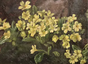 Ad Blok van der Velden - Gele duinbloempjes Texel kopen? Bied vanaf 250!