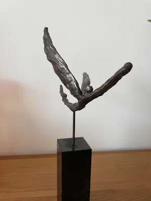 Corry Ammerlaan - Icarus zeldzaam kopen? Bied vanaf 129!