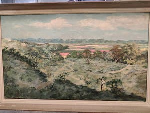 Adam Potgieter - Duinzicht kopen? Bied vanaf 500!