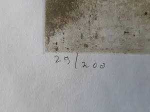 Jan Montyn - Ets/aquatint: Meditation garden uit 1980. kopen? Bied vanaf 45!